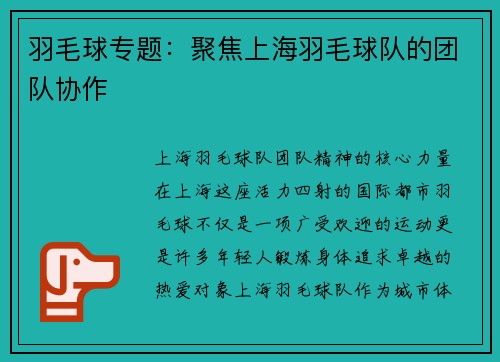 羽毛球专题：聚焦上海羽毛球队的团队协作